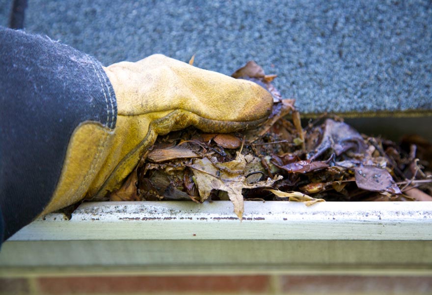 OKC area Gutter Cleaning Services